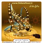 خرید انواع ریسه نواری 12 ولت سه سیم با درایور cct