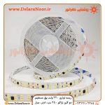 جدیدترینریسه نواری 220 ولت برق مستقیم تراکم 240 دولاین (آفتابی، مهتابی، نچرال) با قیمت